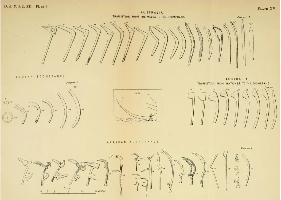 A 19th-century comparative plate showing rows of Australian, Indian and African boomerangs and throwing sticks / O planșă comparativă din secolul al XIX-lea cu șiruri de bumerange și bețe de aruncat australiene, indiene și africane